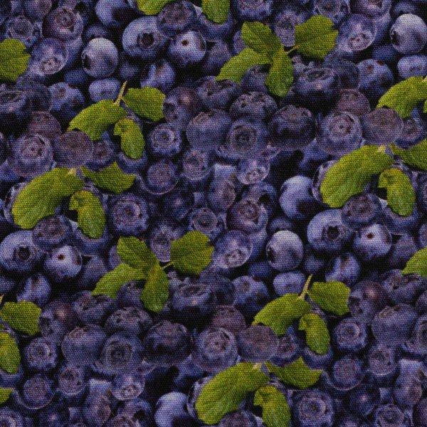 Baumwolle Druck Swafing Yummy Food Heidelbeeren